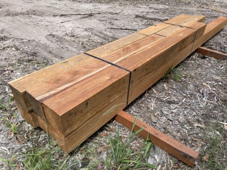 Big Hardwood Timbers - 124
