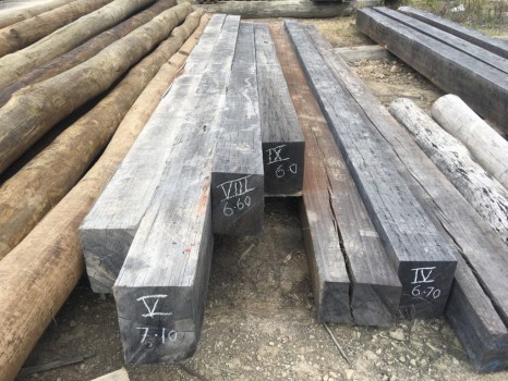 Big Hardwood Timbers - 50