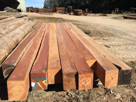 Big Hardwood Timbers - 56