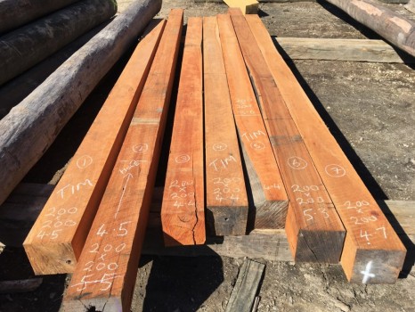 Big Hardwood Timbers - 66